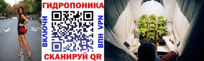 Шишки марихуана индика Тихвин